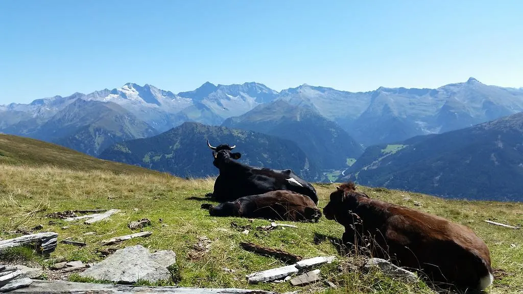 Apartment Ferienwohnungen Tiroler Alpenhof Patsch